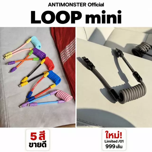สายชาร์จ LOOP mini ANTIMONSTER 240W Type C Fast Charging