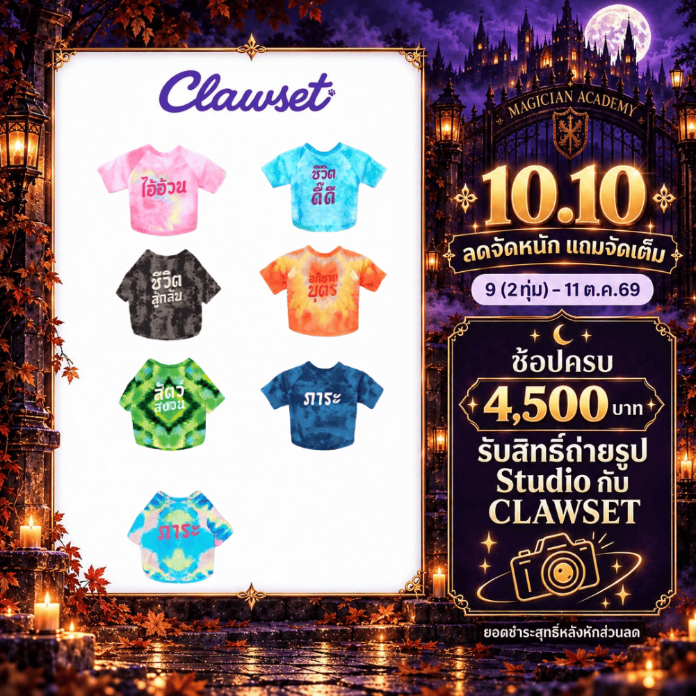 CLAWSET تيشيرت مصبوغ للحيوانات (تطابق المالك) — صورة 2