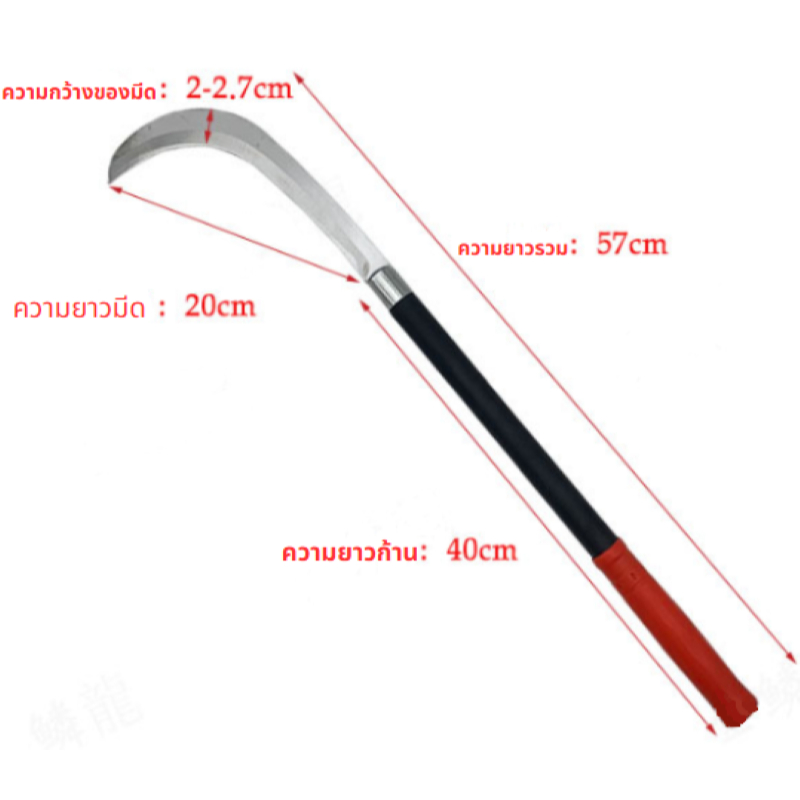 เคียวด้ามยาว 60ซม. เคียวแมงกานีสแท้ มีดหวด มีดขอ มีดตัดกล้วย มีดดายหญ้า ลับคมกริบ น้ำหนักเบา ราคาถูก จัดส่งด่วน - รูปที่ 6