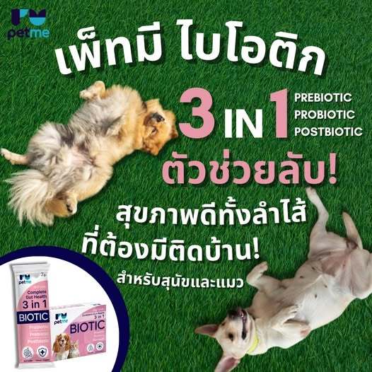 Petme Biotic 3in1 สุนัขและแมวท้องเสียง่าย ถ่ายเหลว ภูมิดีขึ้น ขับถ่ายสมดุล วันละ1ซอง - รูปที่ 2