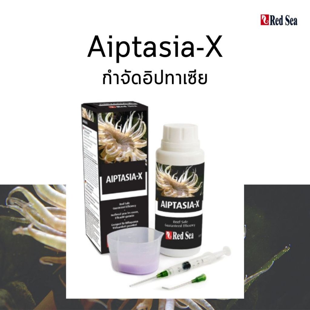 Red Sea Aiptasia-X 60ml กำจัดอิปทาเซีย