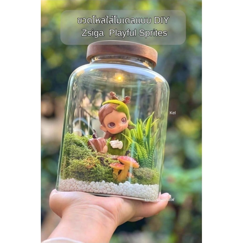 ขวดโหลใส่โมเดล Zsiga Take it Slow Series