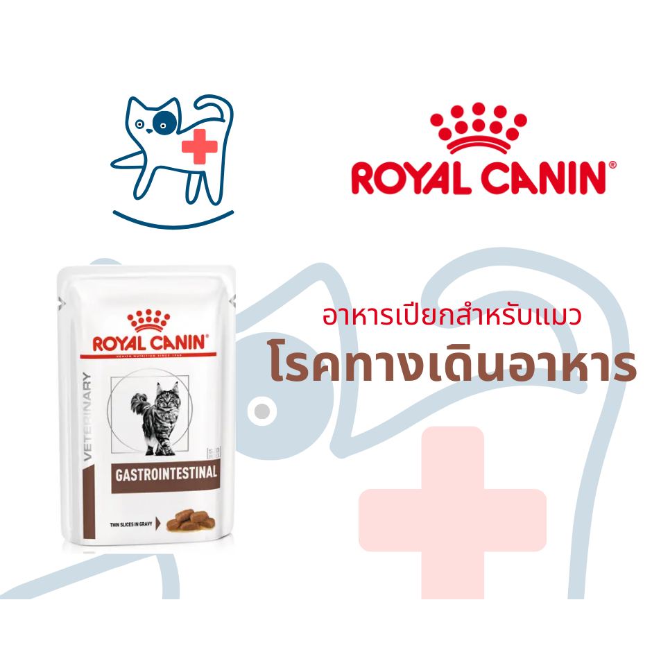 Royal Canin อาหารแมวประกอบการรักษาโรคทางเดินอาหาร ชนิดเปียก (GASTROINTESTINAL GRAVY)