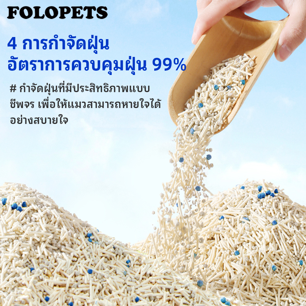 รูปภาพ 8