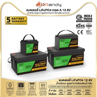 Randy&EVE Energy แบตเตอรี่LiFePO4 12.8V 50AH-300AH แบตเตอรี่ลิเธียมเกรดA ประกัน5ปีอายุการใช้งาน10ปี+