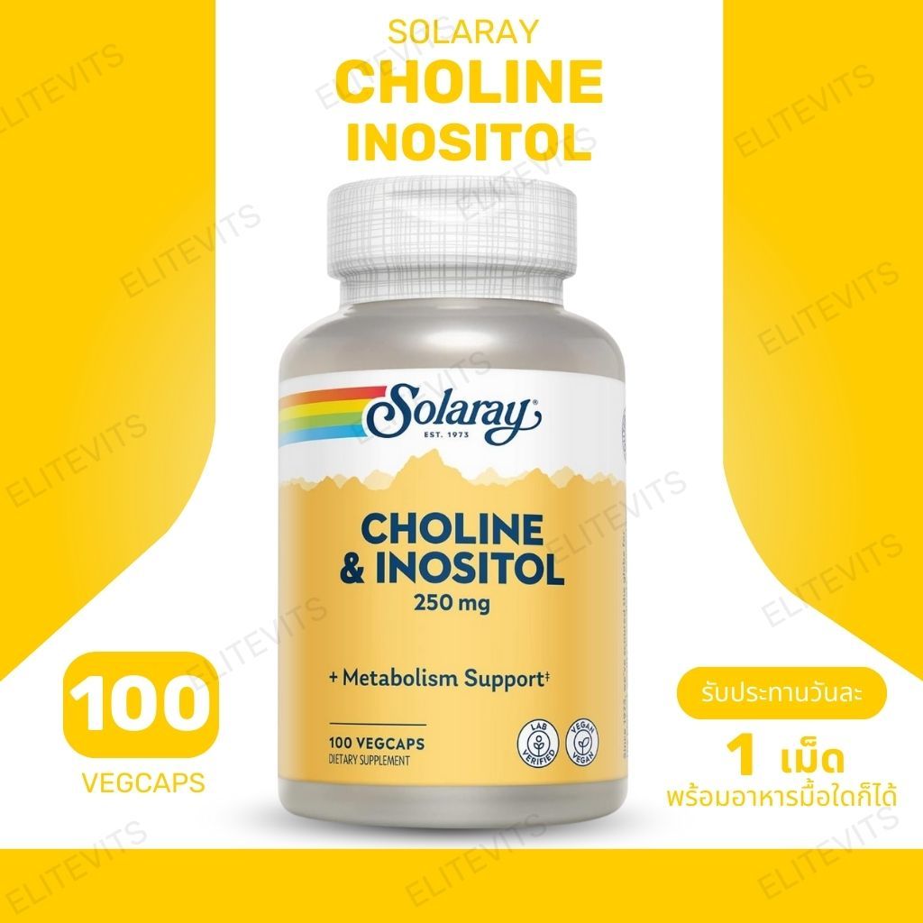 Solaray, Choline & Inositol, 250 mg, 100 VegCaps (No.3213)