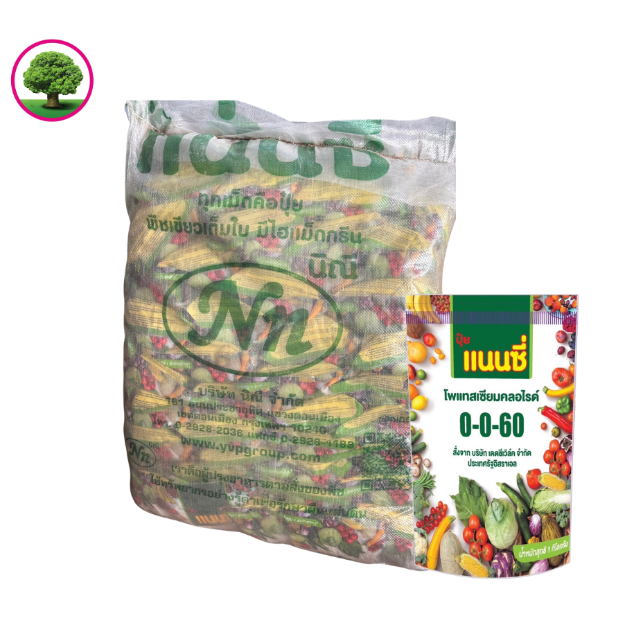 ปุ๋ยเกล็ดแนนซี่ 0-0-60 เป็นปุ๋ยโพแทสเซียมคลอไรด์ที่ใช้บำรุงพืช เพิ่มเนื้อ เพิ่มแป้ง สร้างน้ำตาล
