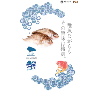 Small Red Sea Bream 50g. มิชิโนกุฟาร์มปลามาได หรือ ปลากะพงแดงญี่ปุ่น จากจังหวัดโคชิประเทศญี่ปุ่น