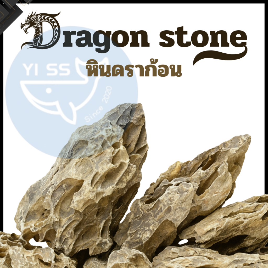หินดราก้อน Dragon Stones หินตกแต่งตู้ไม้น้ำ หินตกแต่งตู้ปลา หินจัดสวน พร้อมส่งจากไทย