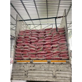 (ส่งฟรี) ข้าวไดโนเสาร์เก่าD 🌾 ข้าวหอมมะลิแท้ 100% ส่งตรงจากโรงสี ไม่ผ่านพ่อค้าคนกลาง (5 กก.)