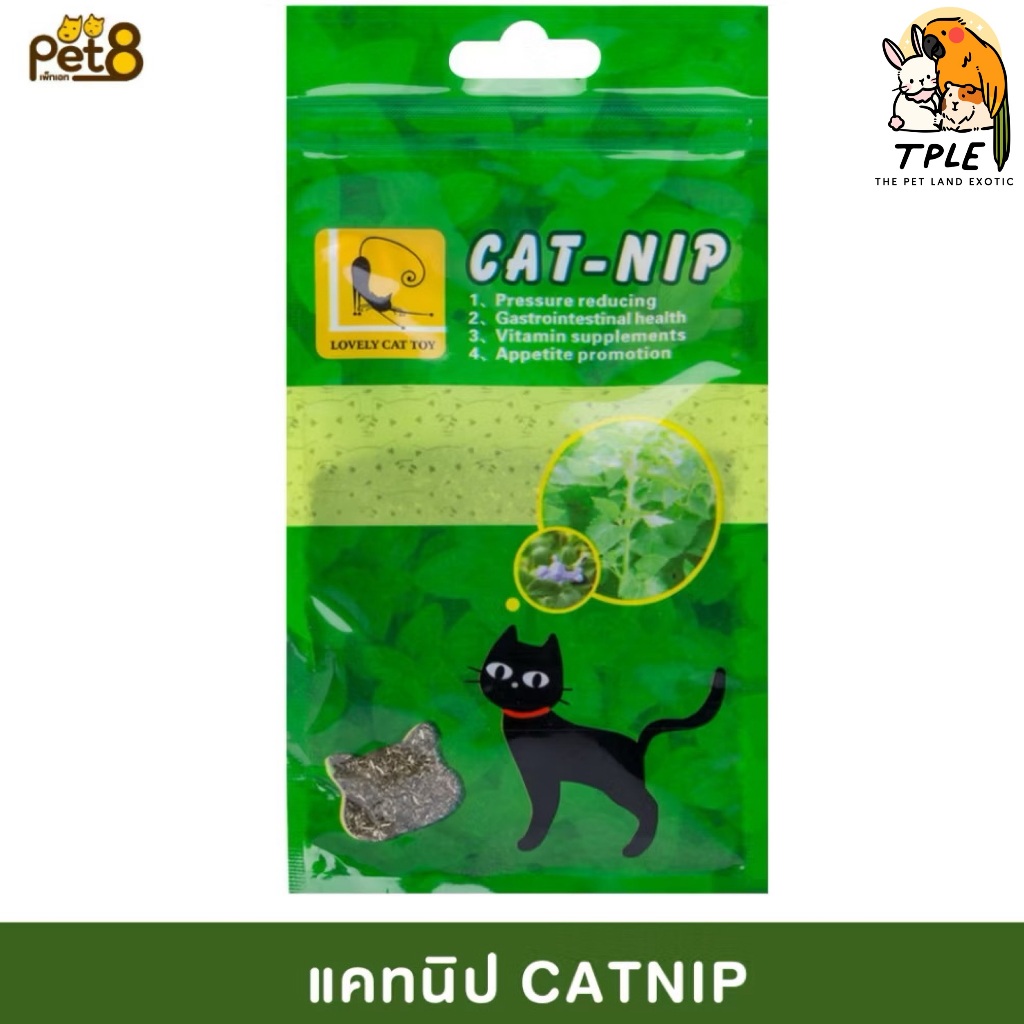 Pet8 เพ็ทเอท CATNIP แคทนิปผง สมุนไพรแมว ขนาด 5 g
