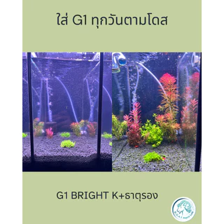 (ส่งด่วน) ปุ๋ยไม้น้ำ G1 สูตร K+ธาตุรอง สูตรสำหรับตู้ตั้งใหม่, ตู้พืชโตช้า เร่งราก ลดความเสี่ยงตะไคร่