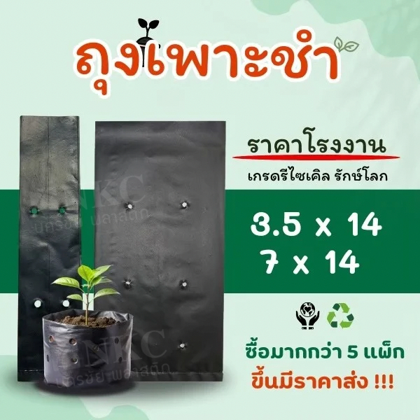 ถุงเพาะชำ ถุงเพาะต้นกล้า ถุงเพาะต้นไม้ 500 กรัม *เจาะรู เนื้อเหนียว ทน ไม่ขาดง่าย*