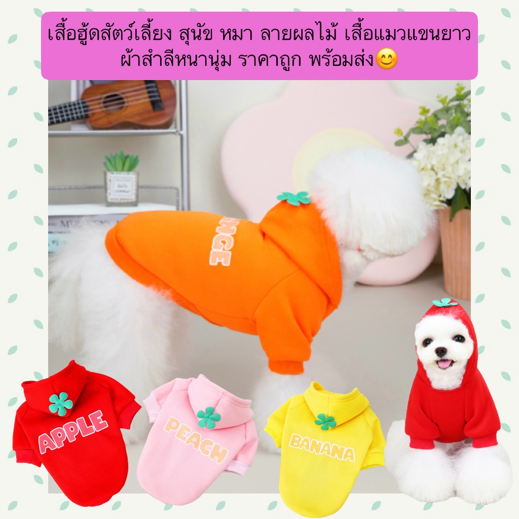 PP-747 เสื้อฮู้ดสัตว์เลี้ยง สุนัข หมา ลายผลไม้ เสื้อแมวแขนยาว ผ้าสำลีหนานุ่ม ราคาถูก พร้อมส่ง😊