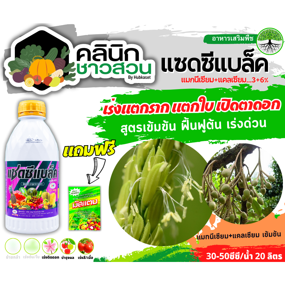 🥬 แซดซีแบล็ค (แมกนีเซียม+แคลเซียม) บรรจุ 1ลิตร สูตรเข้มข้น ฟื้นฟูต้น เร่งด่วน แตกรากแตกใบ เร่งเขียว