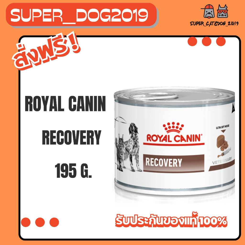 (1 กระป๋อง) Royal Canin Recovery อาหารชนิดเปียกสำหรับ สุนัขและแมวที่อยู่ระหว่างพักฟื้น 195 g.