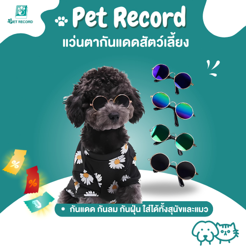 Pet Record พร้อมส่ง แว่นตาสัตว์เลี้ยง แว่นแมว แว่นสุนัข กันลม กันฝุ่น ดีไซน์น่ารัก แถมฟรีสายคล้องแว่นกันลื่น