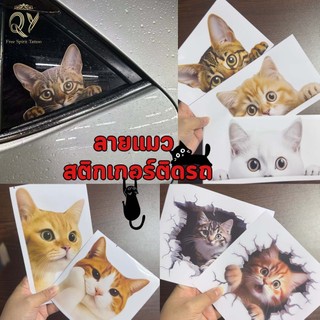 สติกเกอร์ติดรถ กันน้ำ สติ๊กเกอร์กวนๆ ลายแมว สติ๊กเกอร์ติดกันรอย ติดมอเตอร์ไซค์ รถถัง แอร์ ห้องน้ำ กระจก แปะผนัง