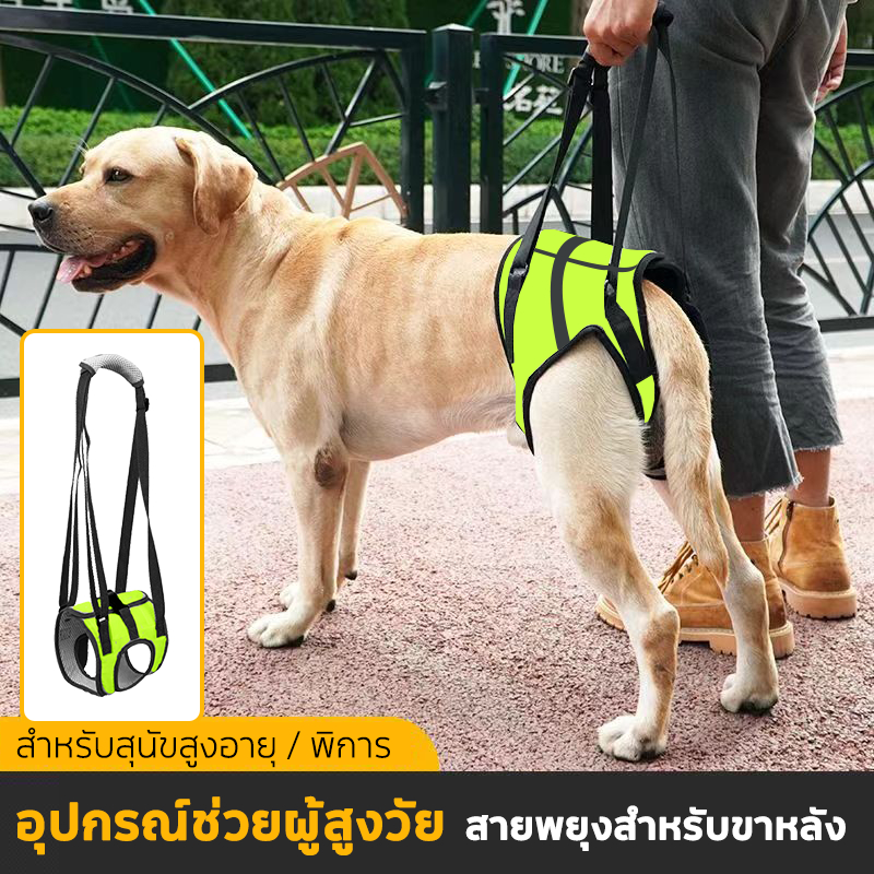 🐶4 ขนาด🐶 เข็มขัดช่วยขาหลังสัตว์เลี้ยง ผ้าพยุงสุนัข ดูแลสัตว์เลี้ยงที่บาดเจ็บ การรักษาฟื้นฟู ที่พยุงตัว สัตว์เลี้ยง