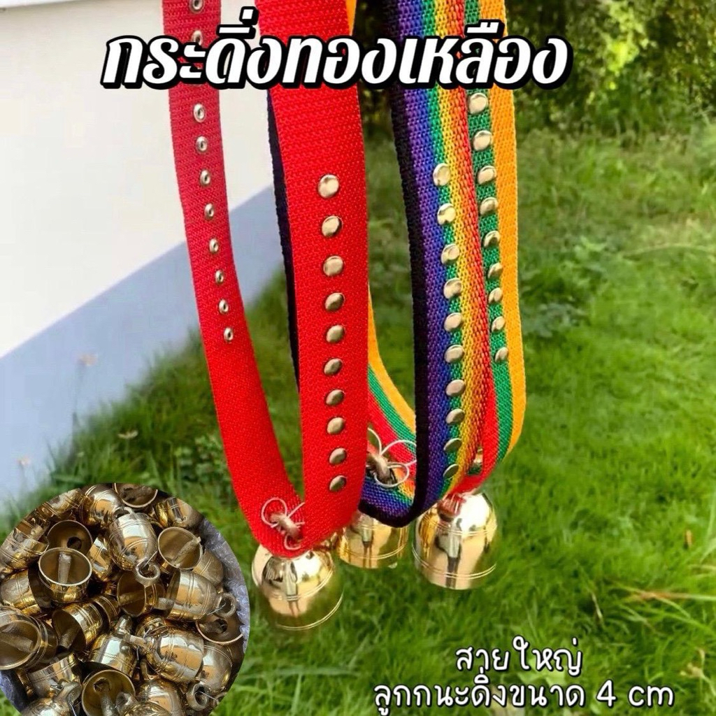 กระดิ่งวัวควาย กะดิ่งทองเหลืองเงา