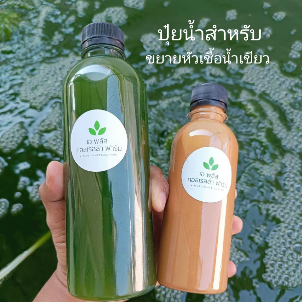 ปุ๋ยน้ำสำหรับขยายหัวเชื้อน้ำเขียว  ชุดเพาะเลี้ยงไรแดง หัวเชื้อน้ำเขียว 1.5 ลิตรและปุ๋ยน้ำ 250 ml