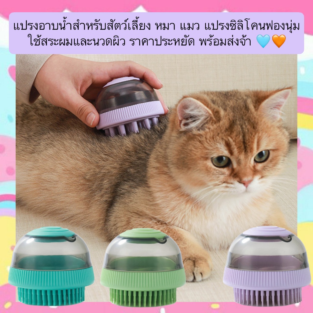 PP-1430  แปรงอาบน้ำสำหรับสัตว์เลี้ยง หมา แมว แปรงซิลิโคนฟองนุ่ม ใช้สระผมและนวดผิว ราคาประหยัด พร้อมส่งจ้า 🧡