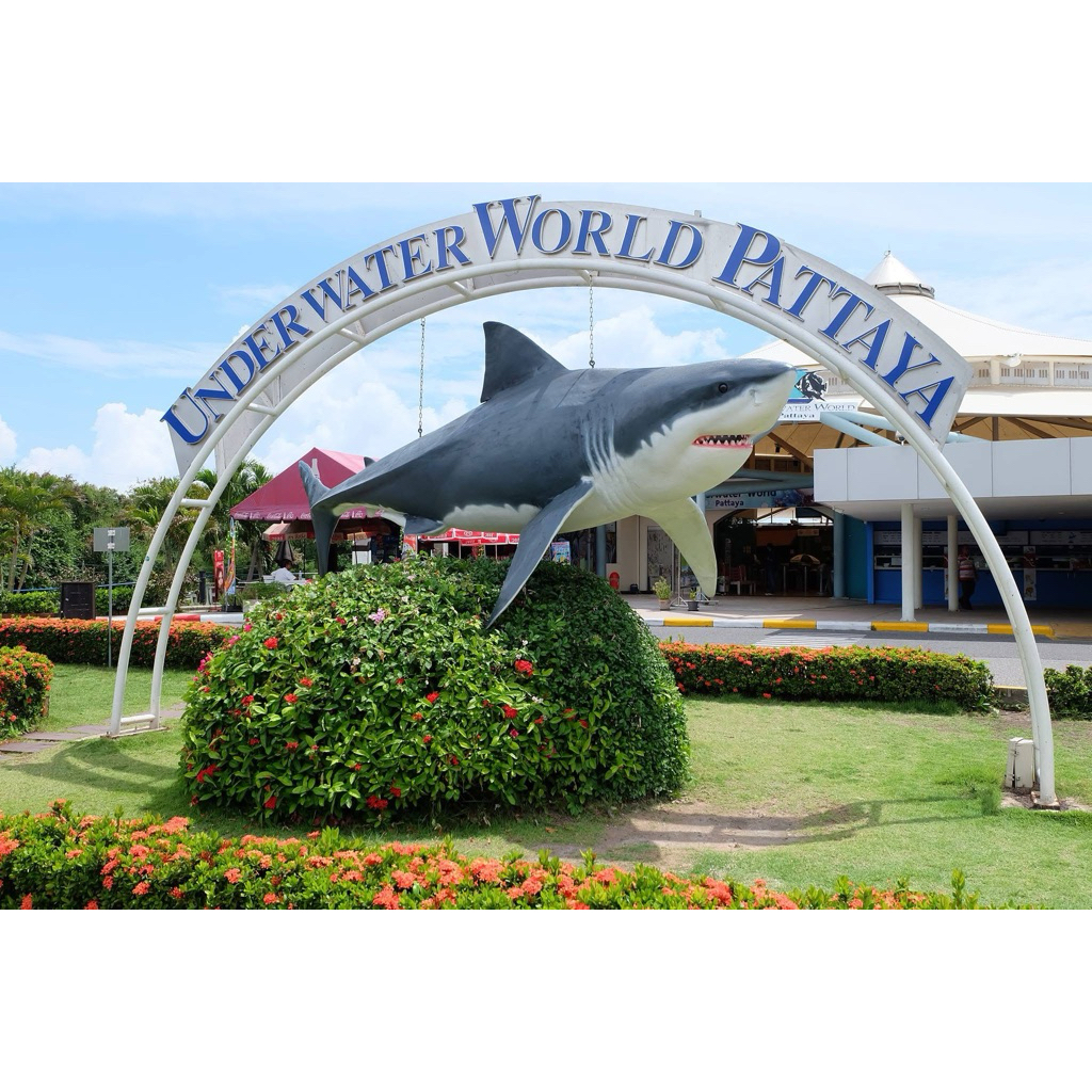 Express delivery จัดส่งในวันเขตชลบุรี/พัทยา UnderwaterWorldPattaya