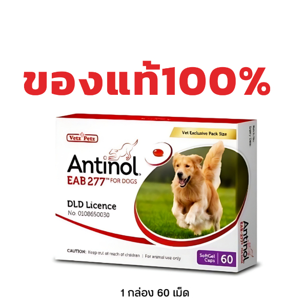 Antinol EAB 277™ for Dogs อาหารเสริมบำรุงข้อ ข้ออักเสบ 1 กล่องบรรจุ 60 เม็ด