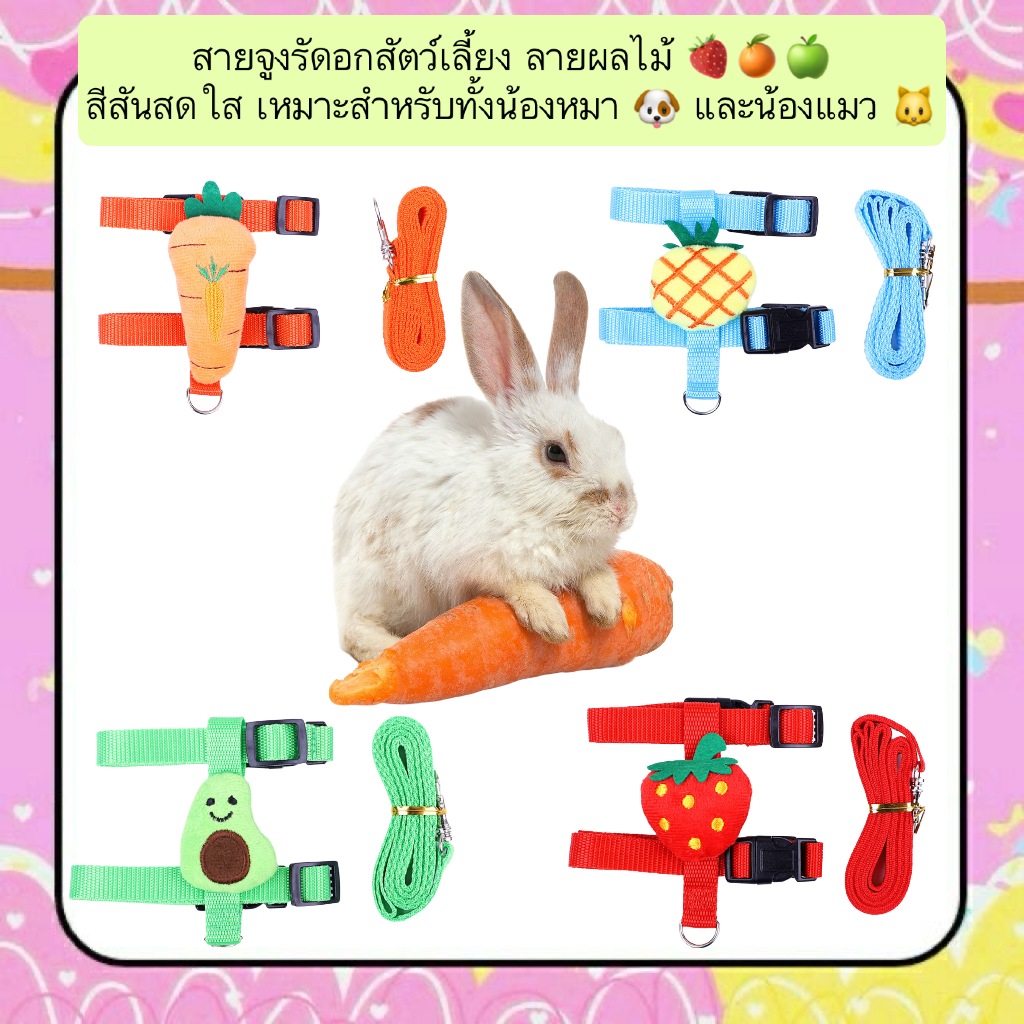 PP-1252 สายจูงรัดอกสัตว์เลี้ยง ลายผลไม้ 🍓🍊🍏 สายจูงรัดอกน่ารัก สีสันสดใส เหมาะสำหรับทั้งน้องหมา 🐶 และน้องแมว 🐱 พร้อมส่ง