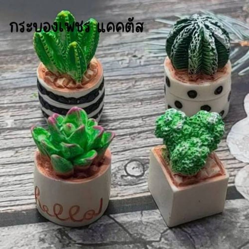 กระถางกระบองเพชรจิ๋ว แคตตัสจิ๋ว ตกแต่งบ้านสวนถาด ขวดโหล บ้านตุ๊กตา