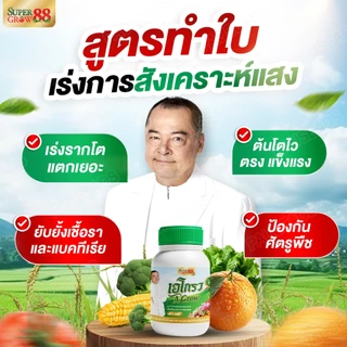 อาหารเสริมพืช ไคโตซานบริสุทธิ์ ผลดก ใบเขียว ต้นสวย โตไว ตรา เอโกรว A Grow