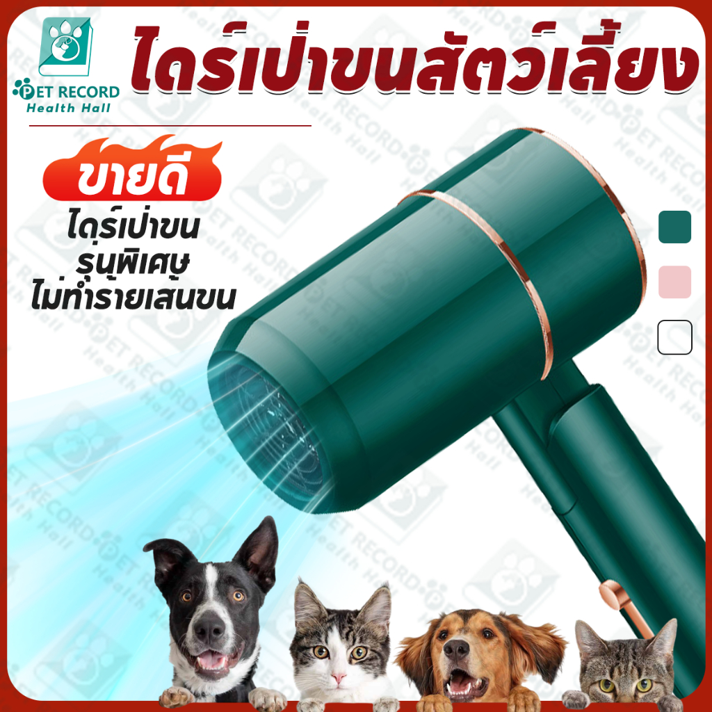 2800Wต่ำเสียงสัตว์เลี้ยงตัวเป่าลูกสุนัขตัวเป่าแมวเสียงต่ำเสียงต่ำผมฟาสต์เพ็ทเลี้ยงสัตว์เลี้ยงให้แห้ง – โปรปัง