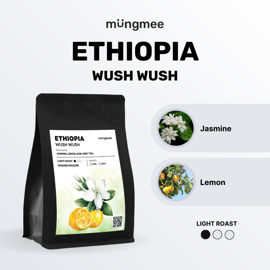 Mungmee Coffee เมล็ดกาแฟ คั่วอ่อน Ethiopia  Wush wush