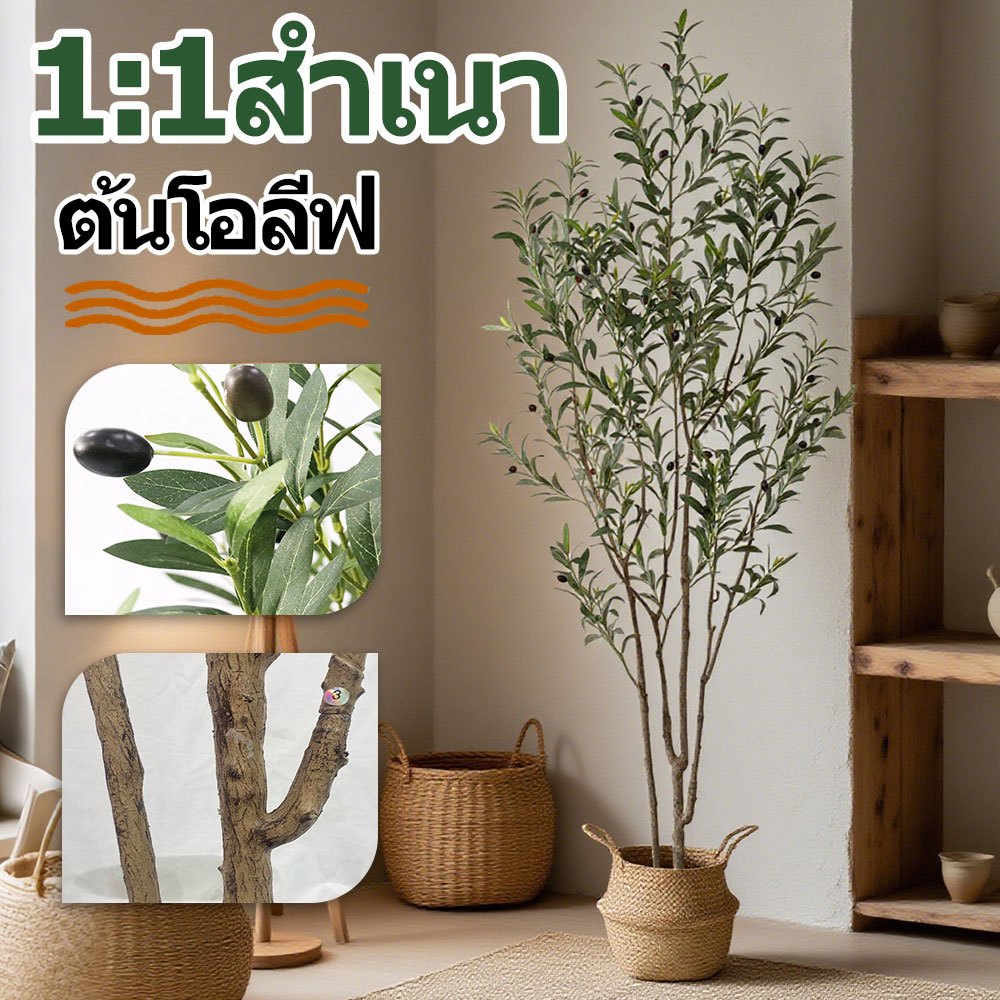 ต้นโอลีฟปลอมสไตล์นอร์ดิก พร้อมส่งจากไทย เลือกขนาด 60/90/120/160/180/210 ซม.