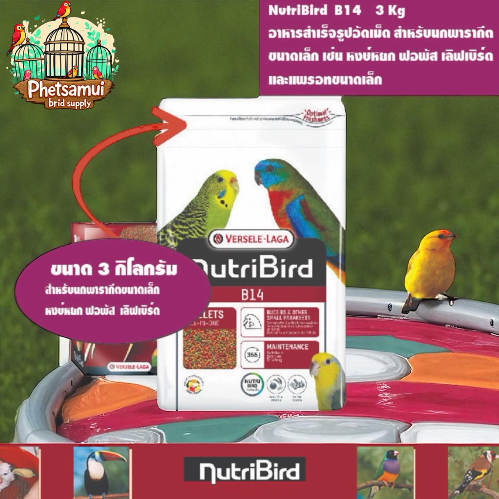อาหารนก B14 ขนาด 3 กิโลกรัม (ถุงบริษัท)