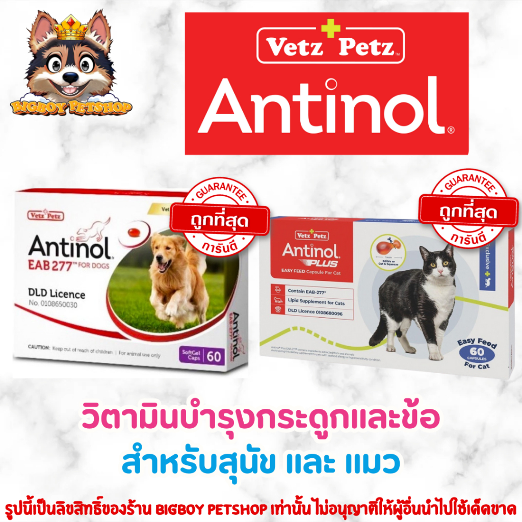 Antinol 60 แคปซูล ของแท้!! แพ็คเกจใหม่ อาหารเสริมบำรุงข้อ ข้ออักเสบ 1 กล่องบรรจุ 60 เม็ด