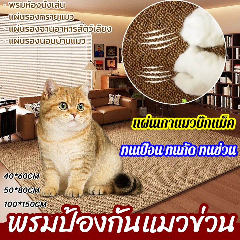 พรมลับเล็บแมว แผ่นขูดแมว เสื่อพรมเลียนแบบป่านศรนารายณ์ พรม แผ่นรองนอนบ้านแมว การเจียรกรงเล็บสัตว์เลี้ยง ทําความสะอาดง่าย