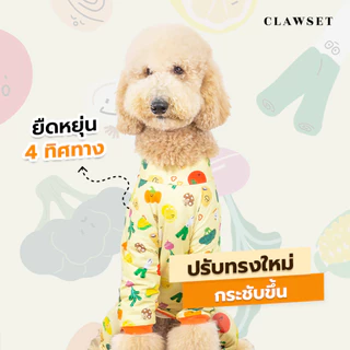 ชุดกันขนร่วง ชุดเก็บขน คอลเลคชั่น Veggies Protection Suit | CLAWSET.BKK