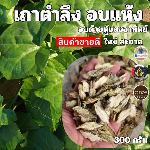 เถาตำลึง เถาตำลึงแห้ง อบใหม่ สวย สะอาด จาก OTOP ออกใบกำกับได้ ขนาด 300 กรัม