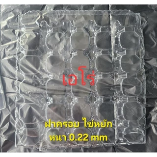 ฝาครอบไข่ พลาสติก เบอร์0-4 พร้อมส่ง