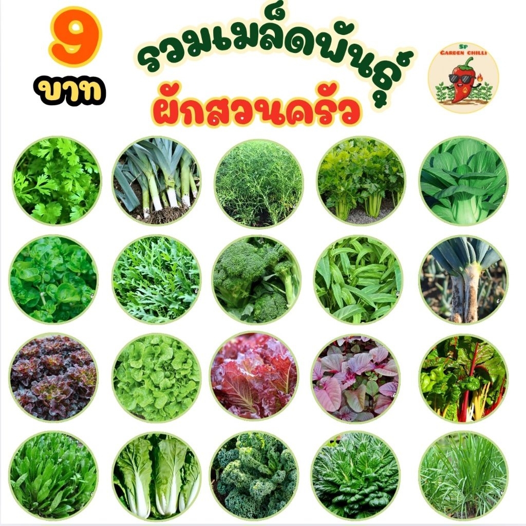 📌รวมเมล็ดพันธุ์ผักสวนครัวเริ่มต้นที่9บาท‼️ทั้งกินใบและกินผล✅️