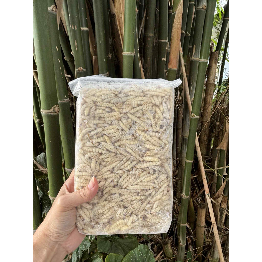 รถด่วนธรรมชาติ ไม่ปรุงรส คนทานได้ สัตว์เลี้ยงทานได้