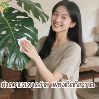 GAIDING【อัตราการซื้อคืน 99.9%ต้นไม้ปลอม-ประดิษฐ์ ต้นไม้ปลอมใหญ่ สูง120/150/180ซม ไม่มีกลิ่นแปลกๆ ไม่จำเป็นต้องบำรุงรักษา