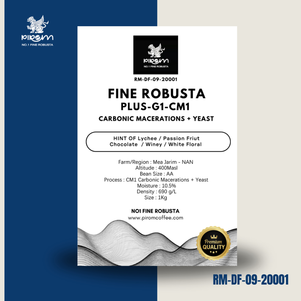 RM-DF-09-20001 สารกาแฟโรบัสต้า FINE ROBUSTA PLUS G1-CM1