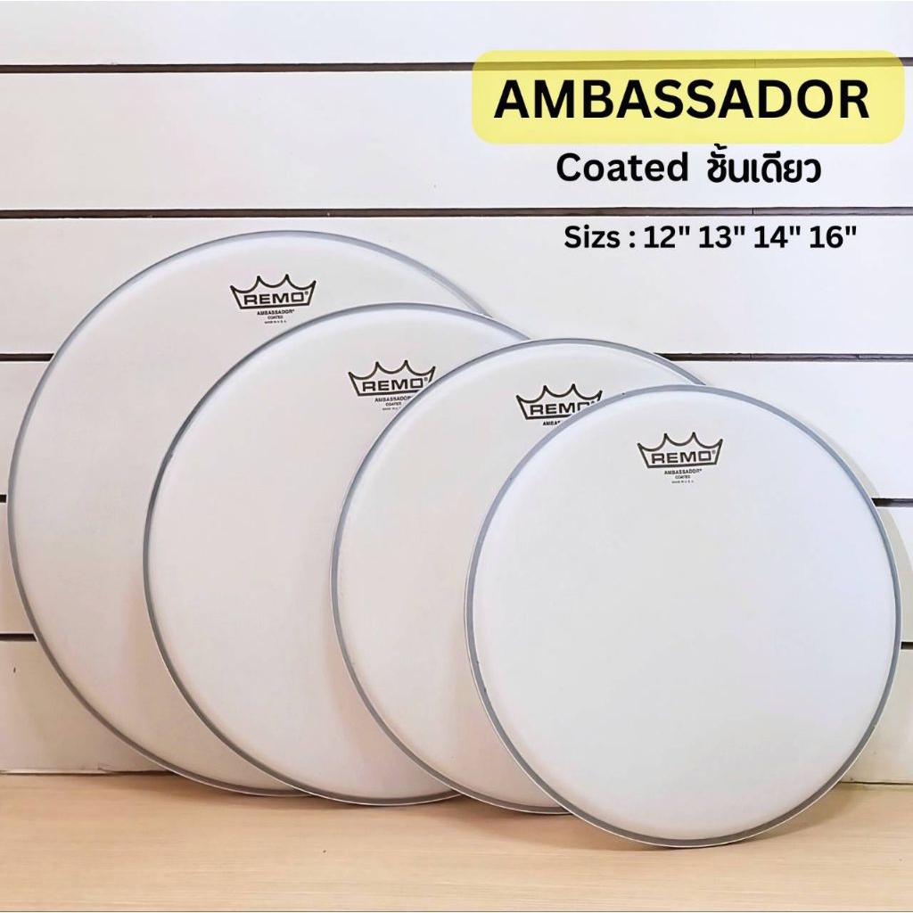 หนังกลอง Remo Ambassador Coated (12", 13", 14", 16")