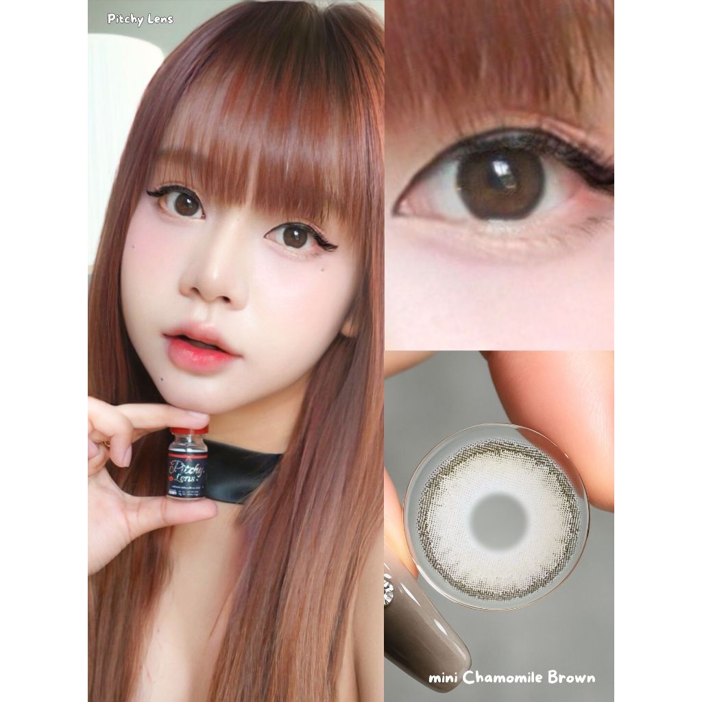 Pitchy Lens คอนแทคเลนส์ mini Chamomile