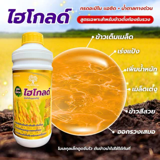 ไฮโกลด์ สูตรข้าวตั้งท้องรับรวงสารสกัดเข้มข้น ขนาด 1 ลิตร ข้าวเมล็ดใหญ่ น้ำหนักดี สีสวย รวงใหญ่ยาว ทนต่อทุกสภาพอากาศ