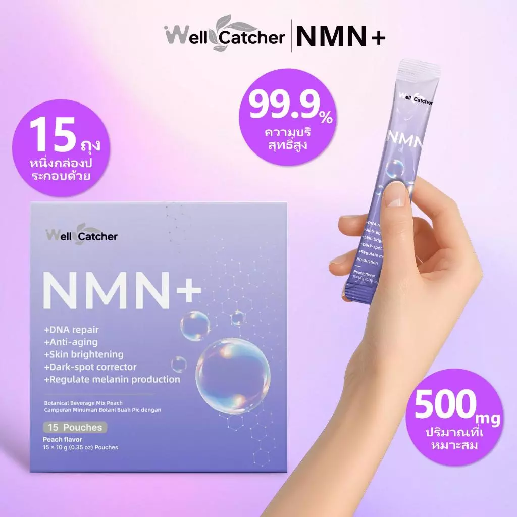 Wellcatcher NMNREV500 ผลิตภัณฑ์เสริมอาหาร thumbnail 6