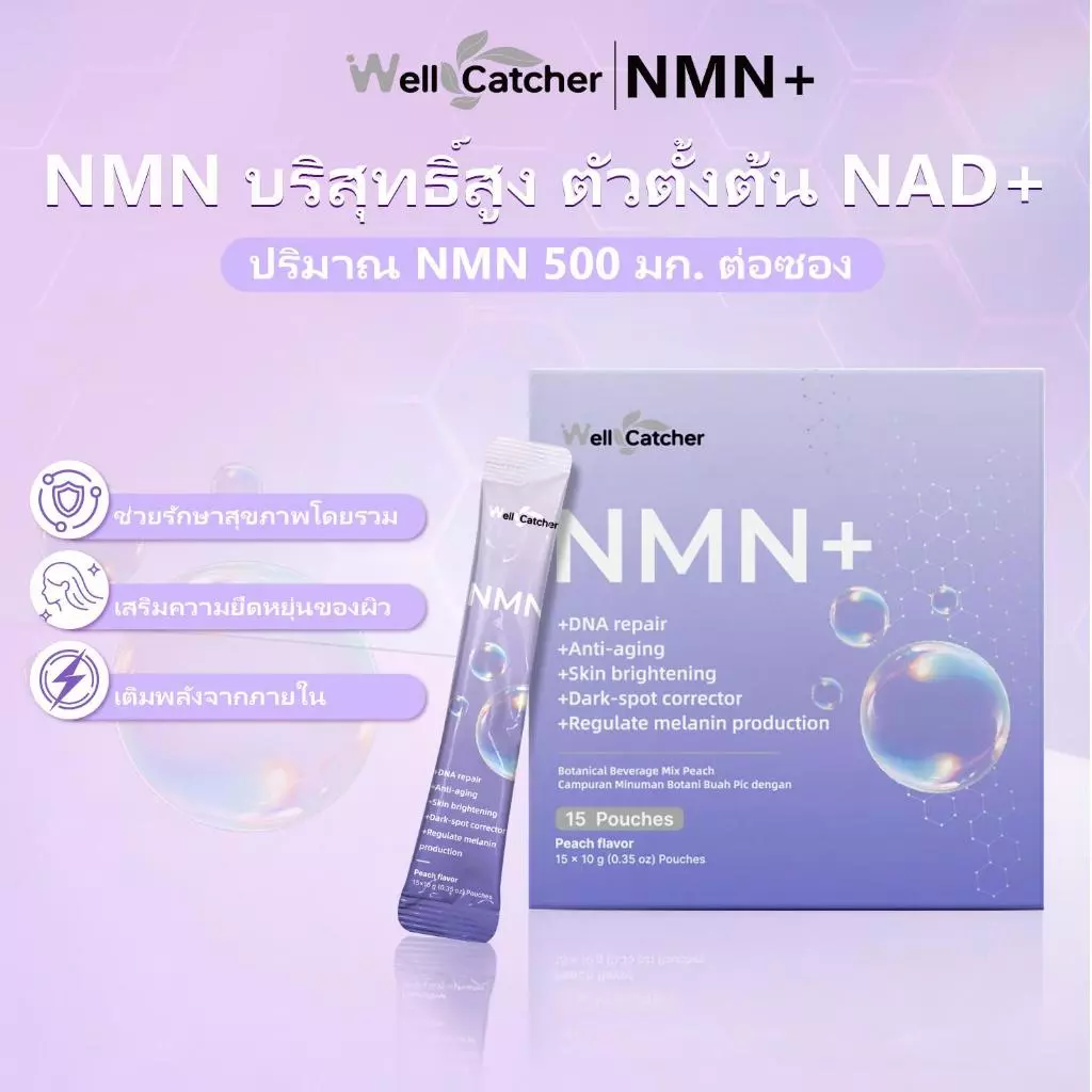 Wellcatcher NMNREV500 ผลิตภัณฑ์เสริมอาหาร thumbnail 4