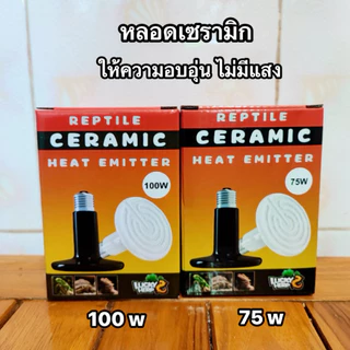 ชุดกกไฟ UVA และ UVB พร้อมใช้งาน